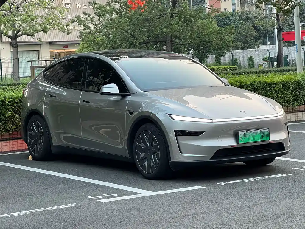 Tesla Model Y L — миниатюра 2