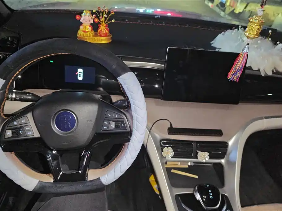 BYD SONGJIANG NEW ENERGY