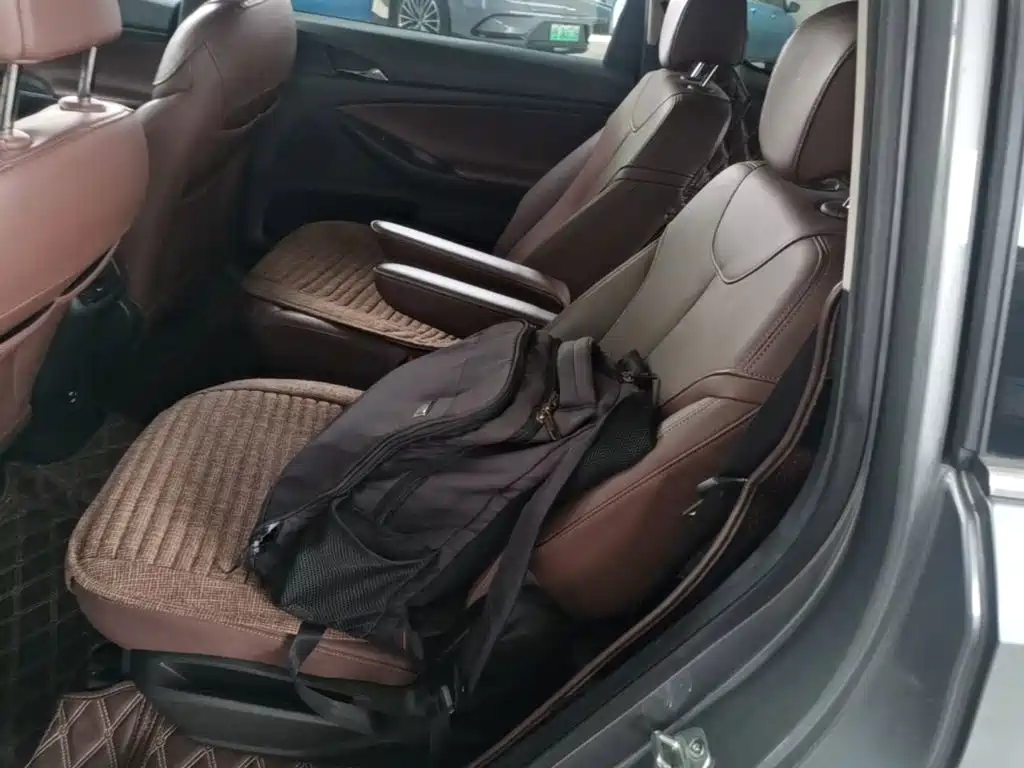Buick GL6 — миниатюра 15