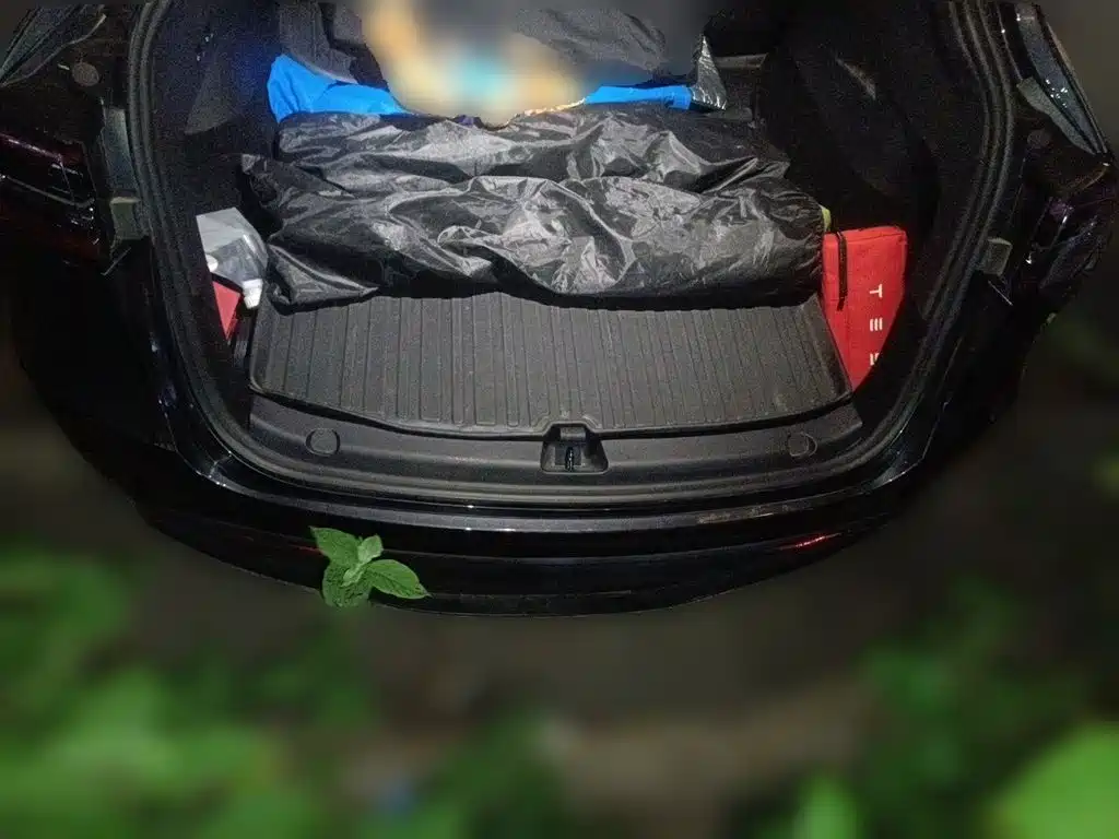 Tesla Model Y — миниатюра 16