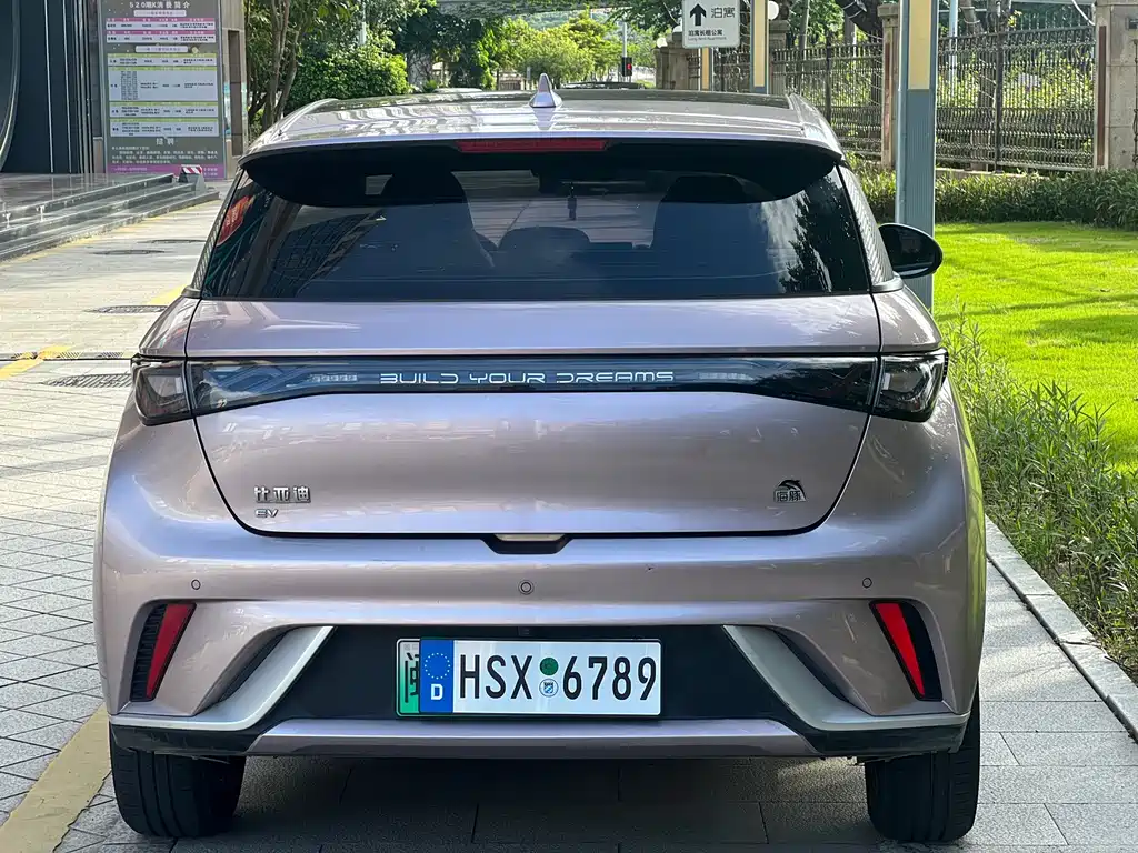 BYD Dolphin 2021 405km Fashion