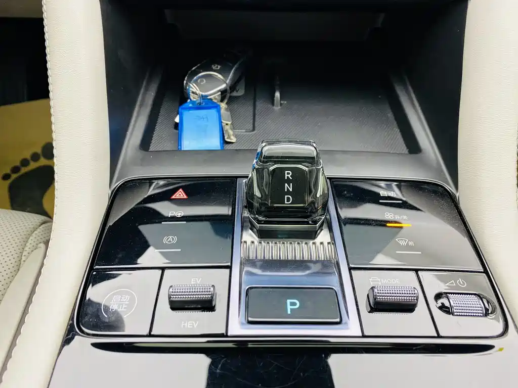 BYD SONGJIANG NEW ENERGY