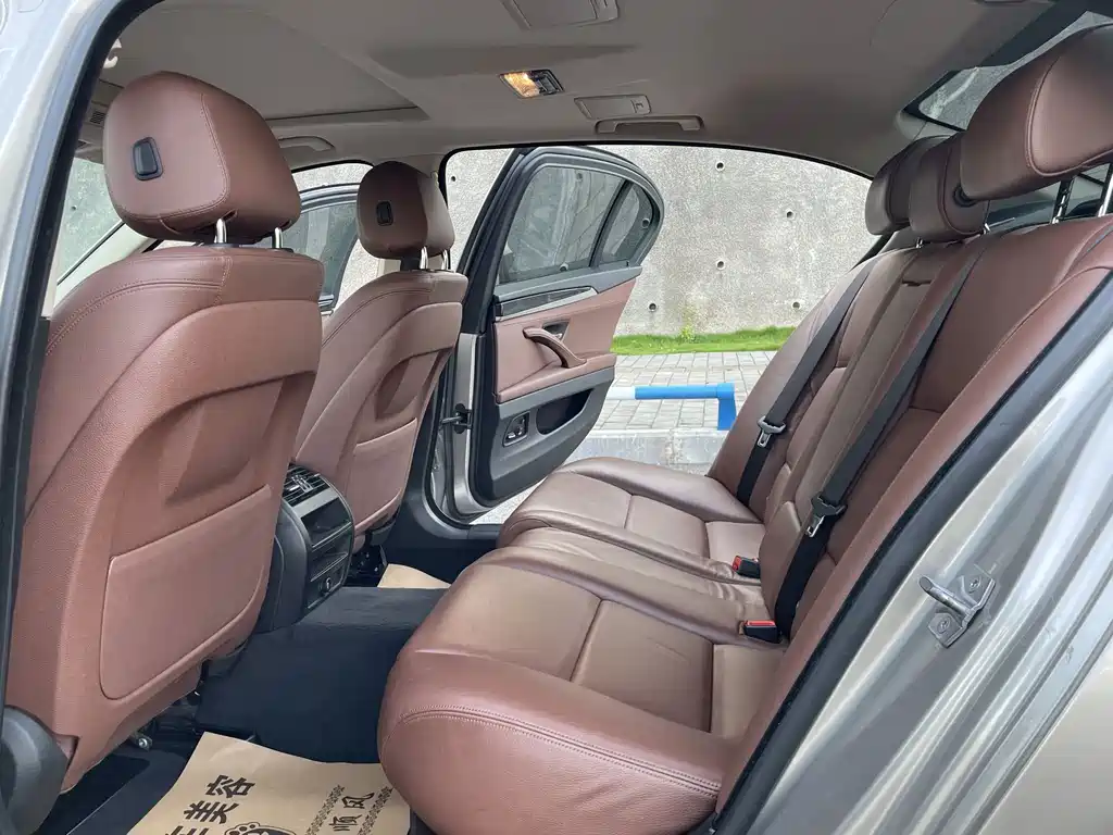 BMW 5 Series 520Li Elegant Type, фото 8