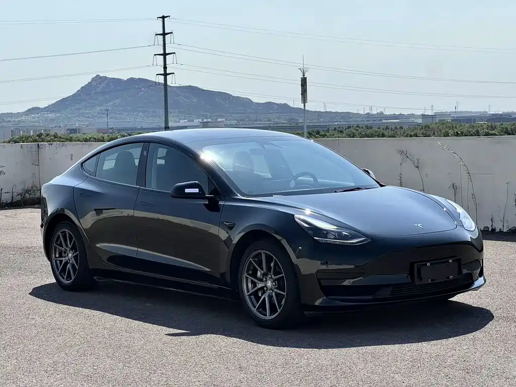 Tesla Model 3 — миниатюра 4