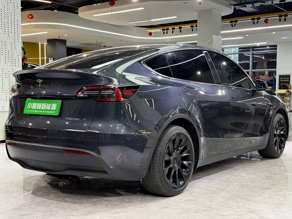Tesla Model Y — миниатюра 15