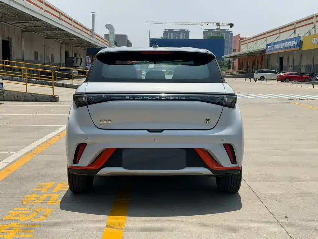 BYD Dolphin 2021 405km Freedom
