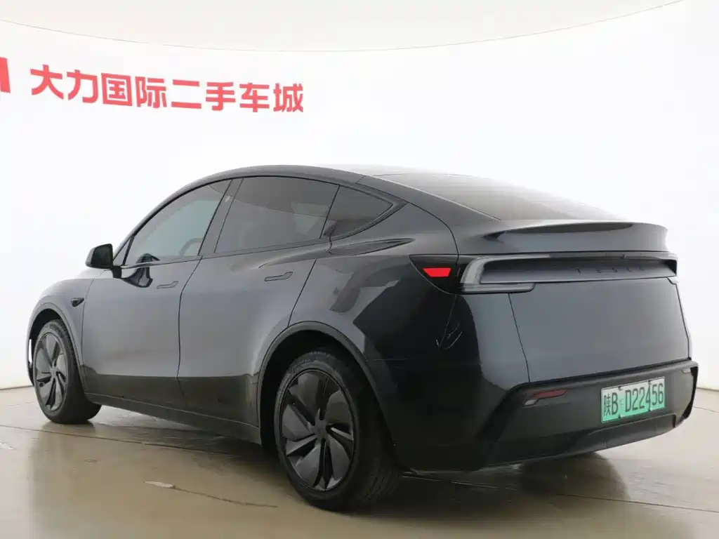 Tesla Model Y — миниатюра 7