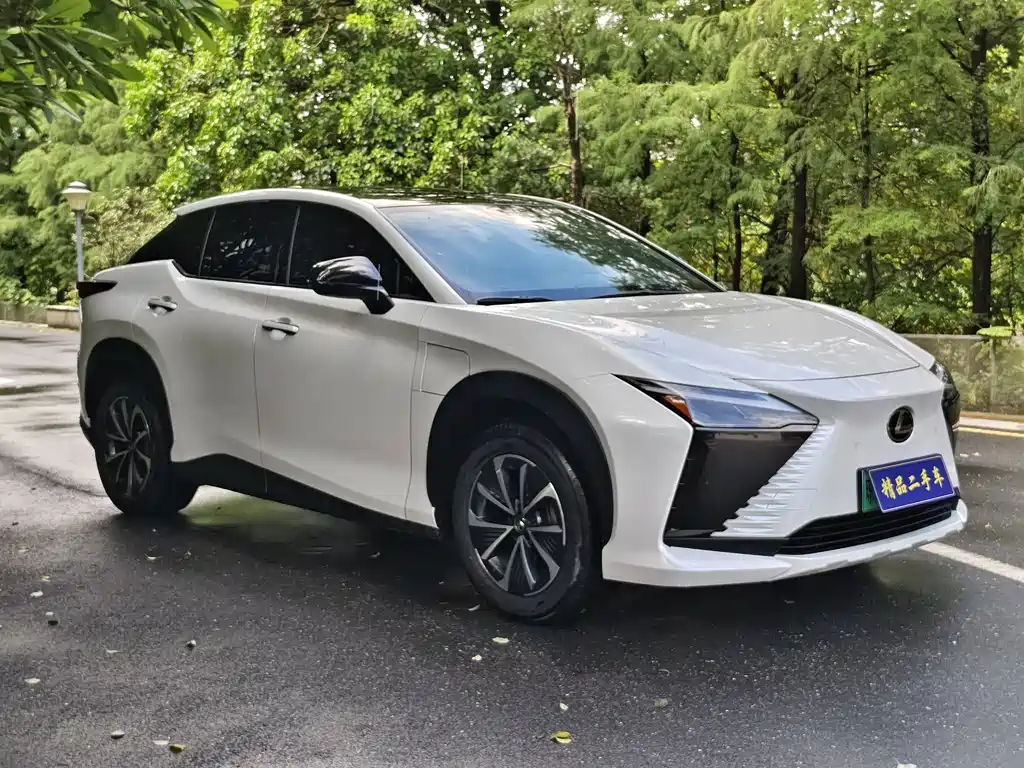 Lexus RZ — миниатюра 3