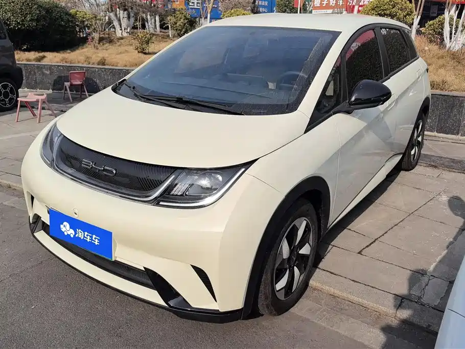 BYD DOLPHIN