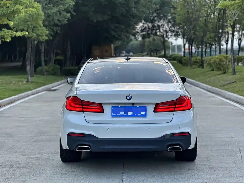 BMW 5 Series 5 2019 530Li Premium M Sport