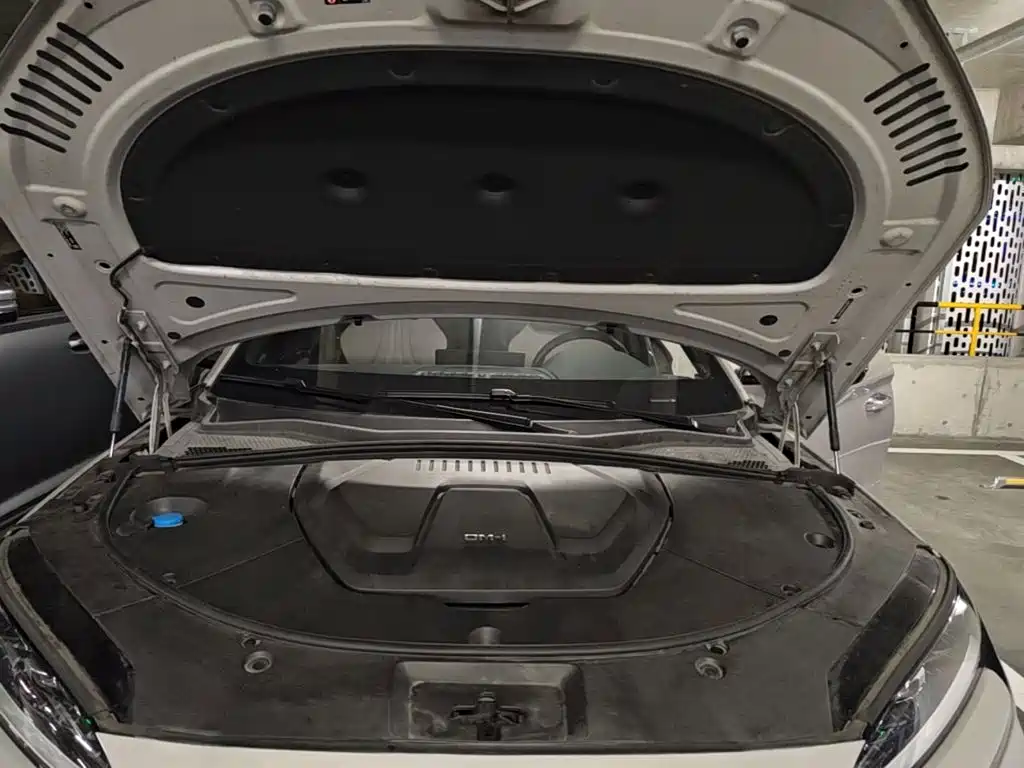 BYD PLUS New Energy — миниатюра 11