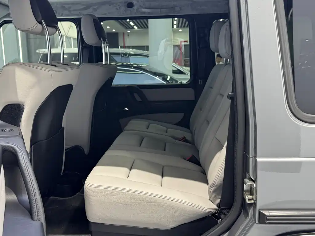 Mercedes-Benz G-Class G 2010 G 500