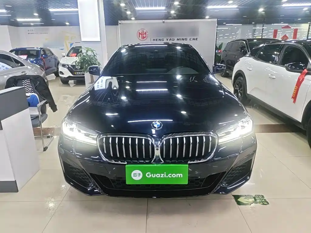 BMW 5 Series — миниатюра 3