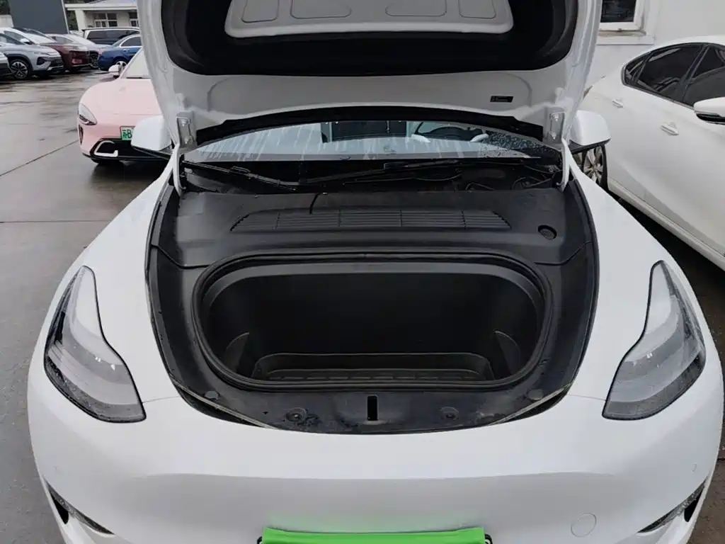 Tesla Model Y — миниатюра 20