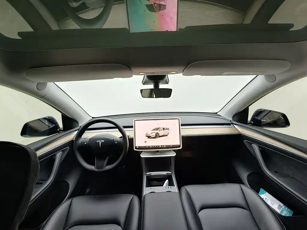 Tesla Model Y — миниатюра 5