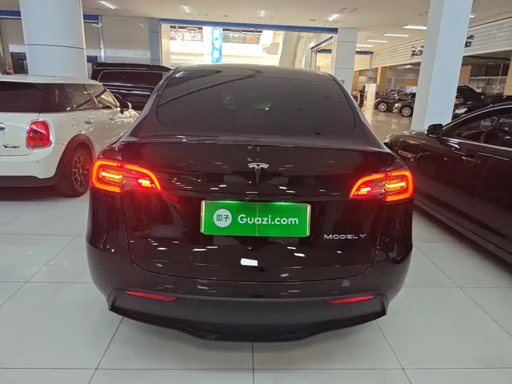 Tesla Model Y — миниатюра 6