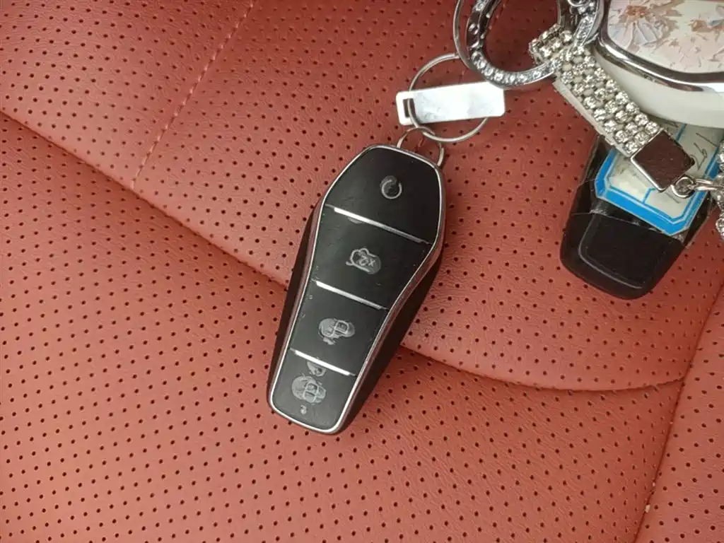 BYD Tang L L 2025 DM 175KM