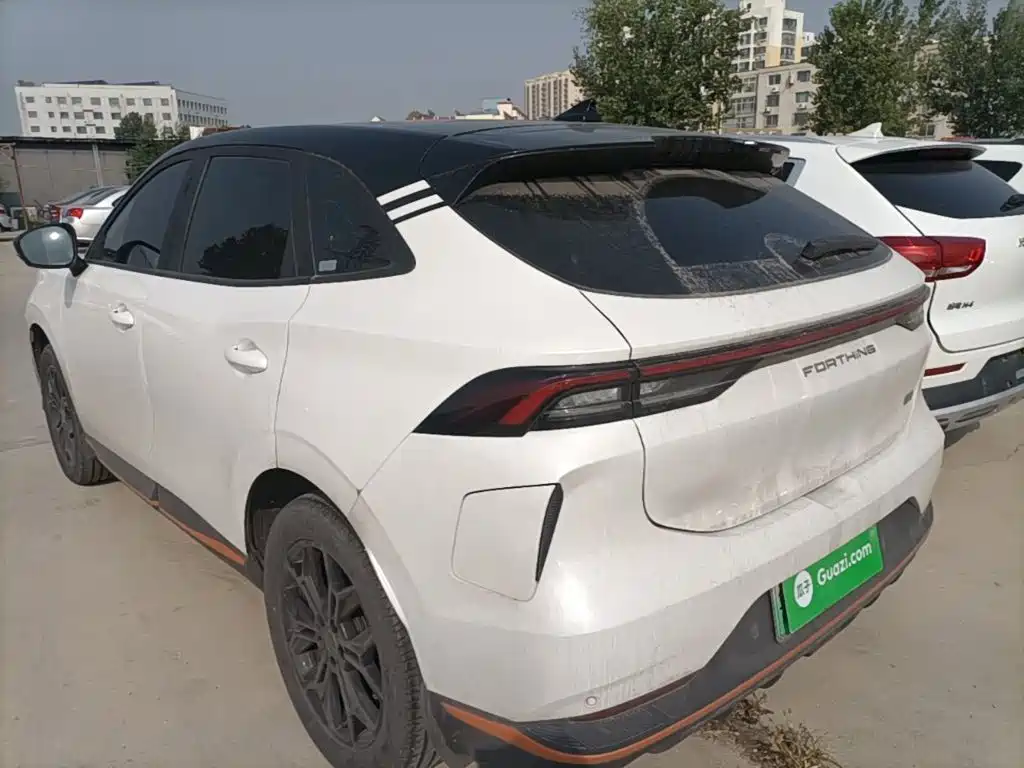 Fengxing Fengxing Leiting — миниатюра 5