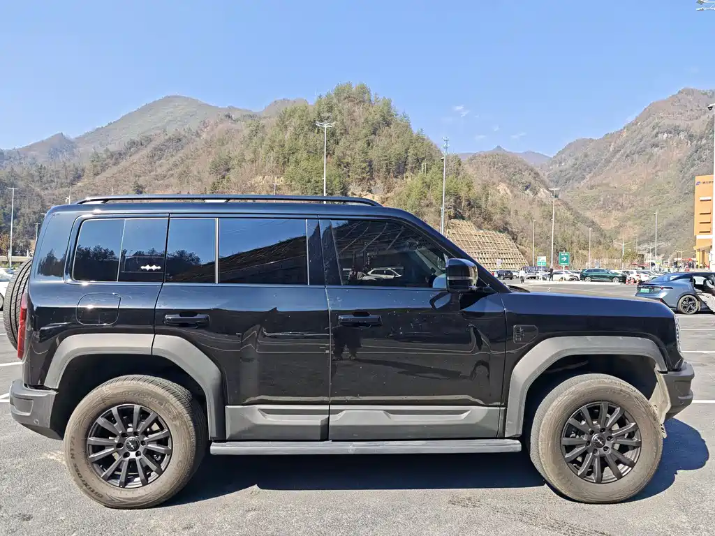 FANG CHENG BAO LEOPARD 5