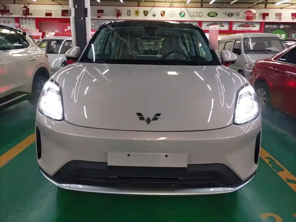 Wuling BinguoS S 2025 325km Premium