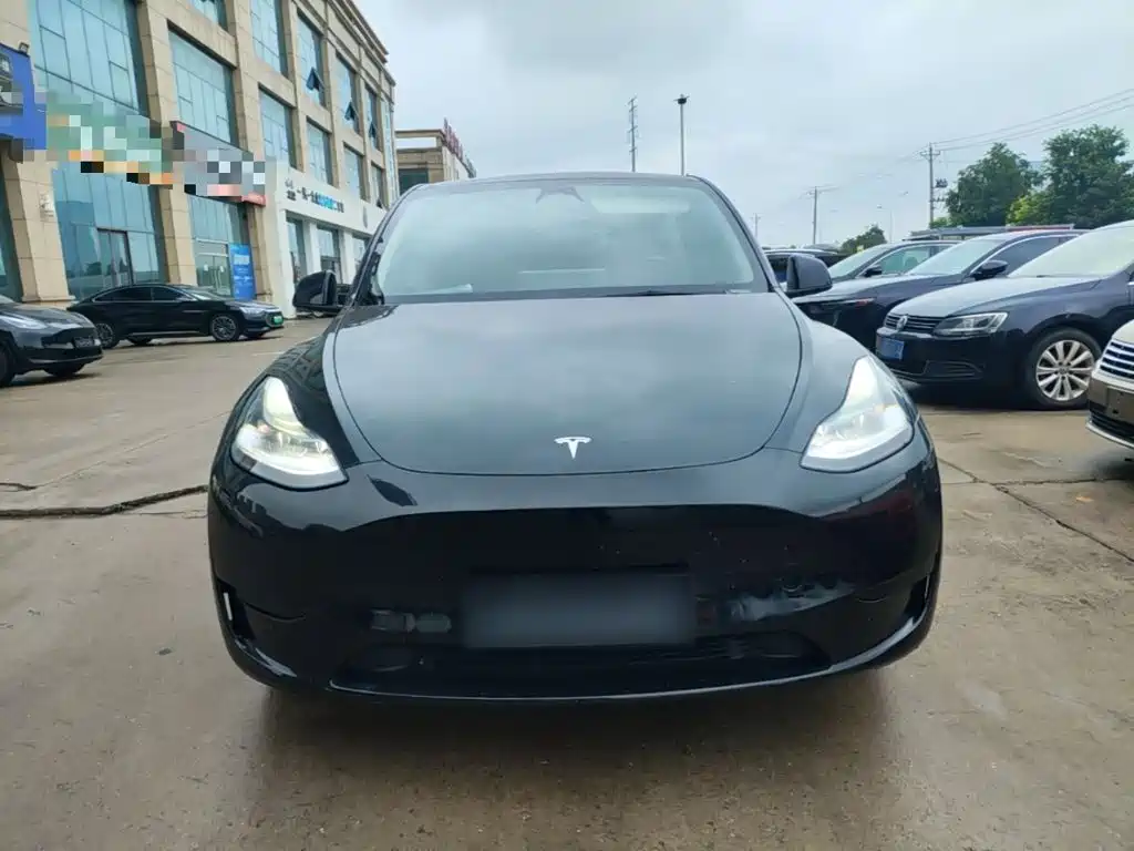 Tesla Model Y — миниатюра 3