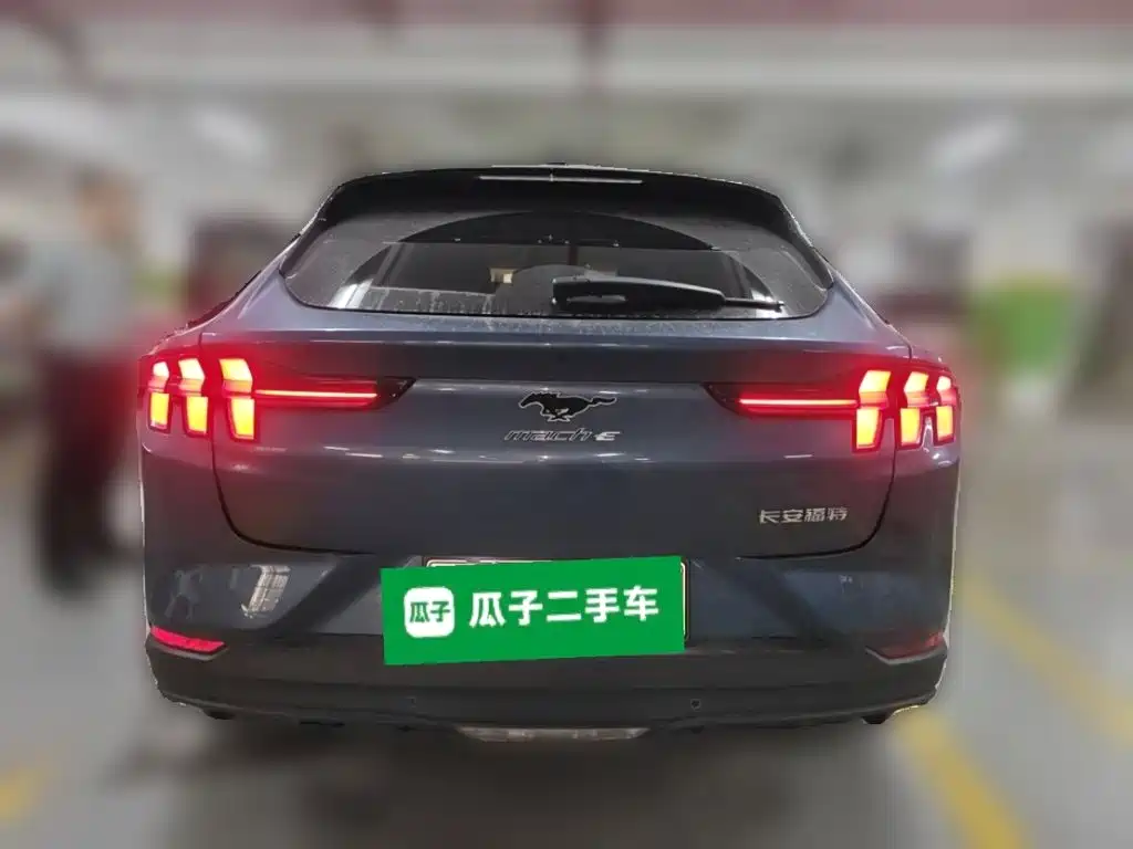 Ford Mustang Mach-E — миниатюра 3