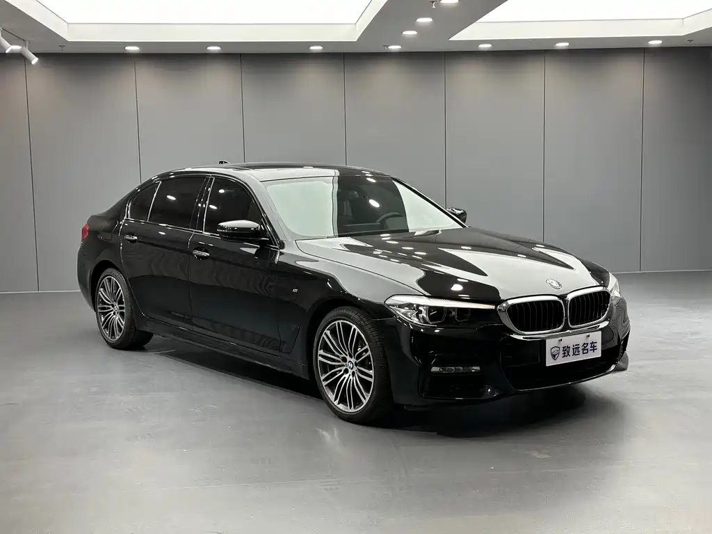 BMW 5 Series — миниатюра 3
