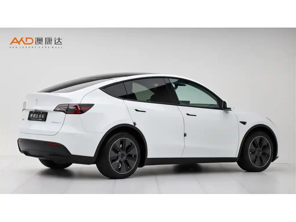 Tesla Model Y — миниатюра 3