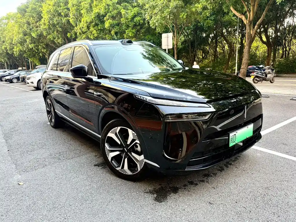 Wey Wey Lanshan — миниатюра 2