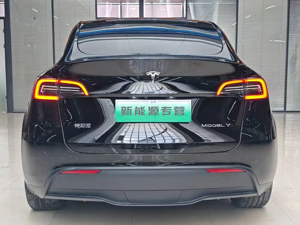 Tesla Model Y — миниатюра 4