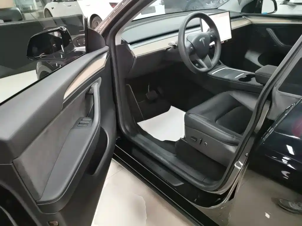 Tesla Model Y — миниатюра 16
