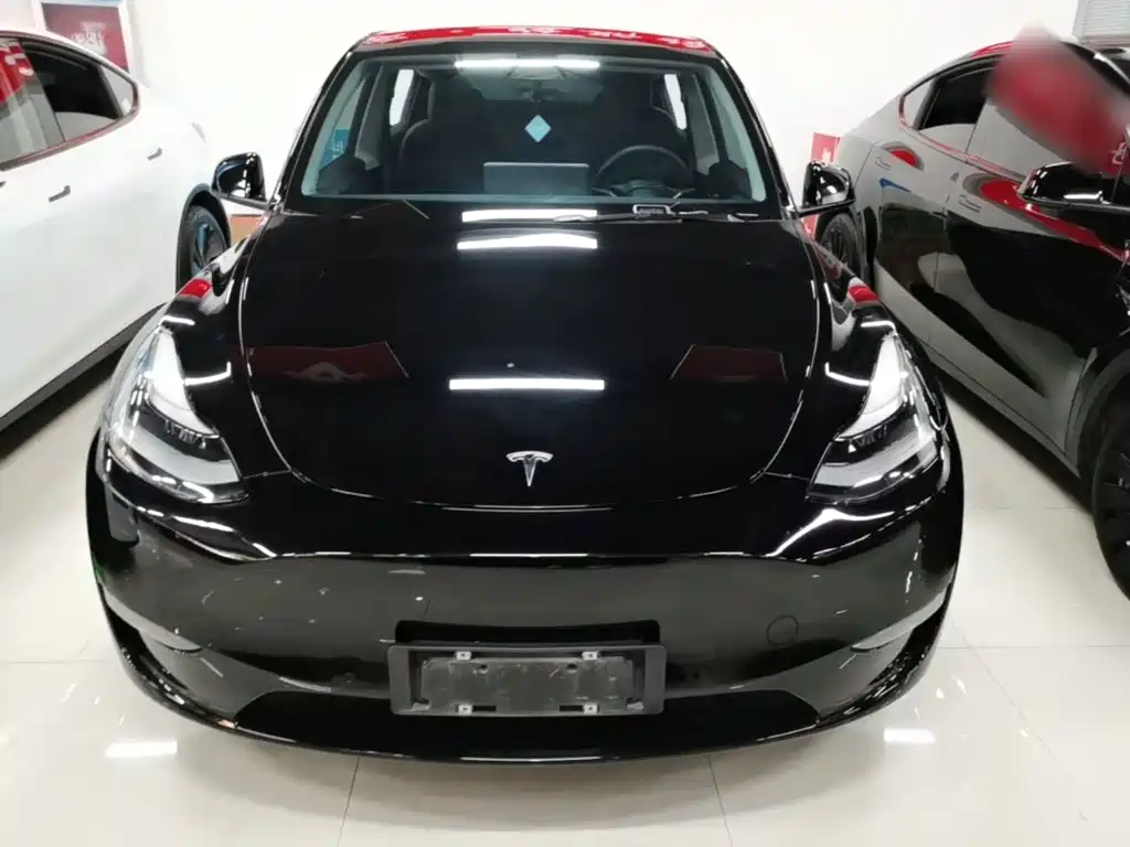 Tesla Model Y — миниатюра 3