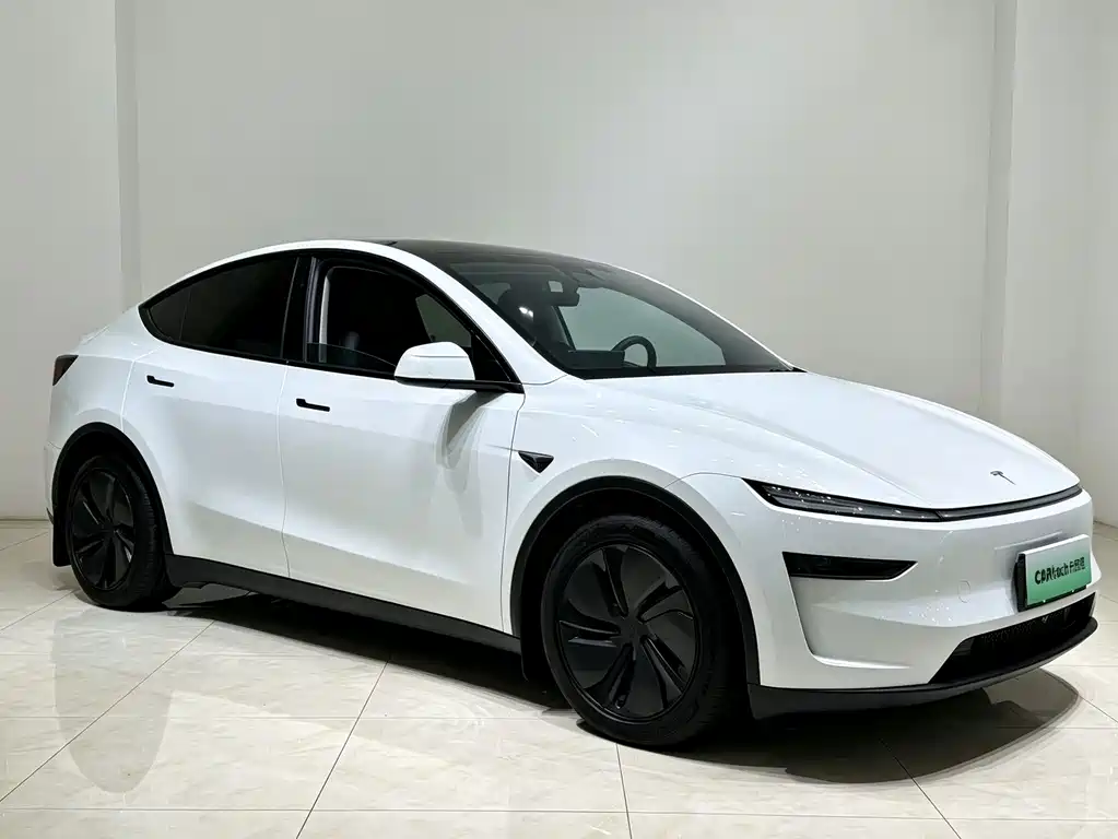 Tesla Model Y — миниатюра 3