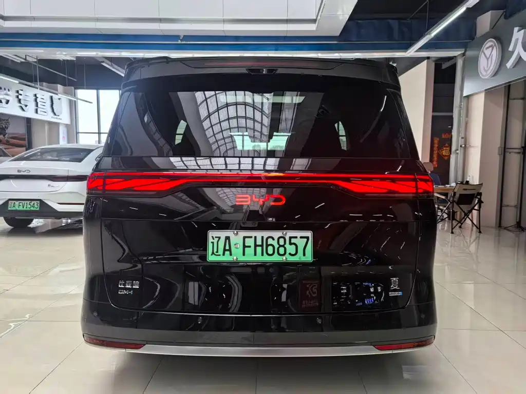 BYD Xia — миниатюра 5