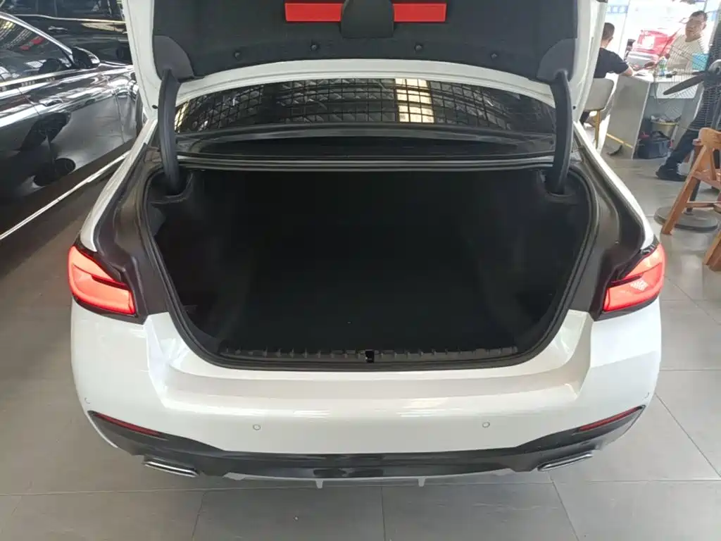 BMW 5 Series — миниатюра 19