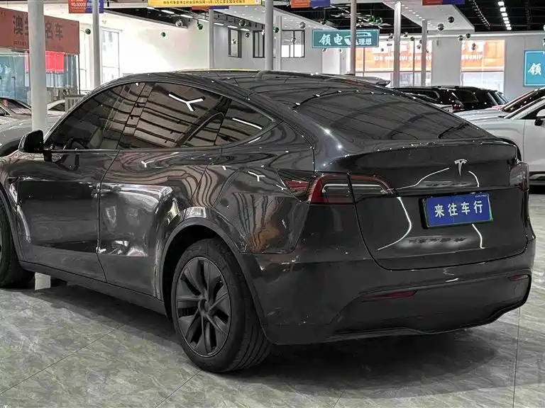 Tesla Model Y — миниатюра 5