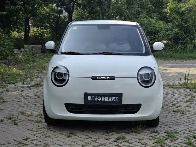 2025 Changan Lumin