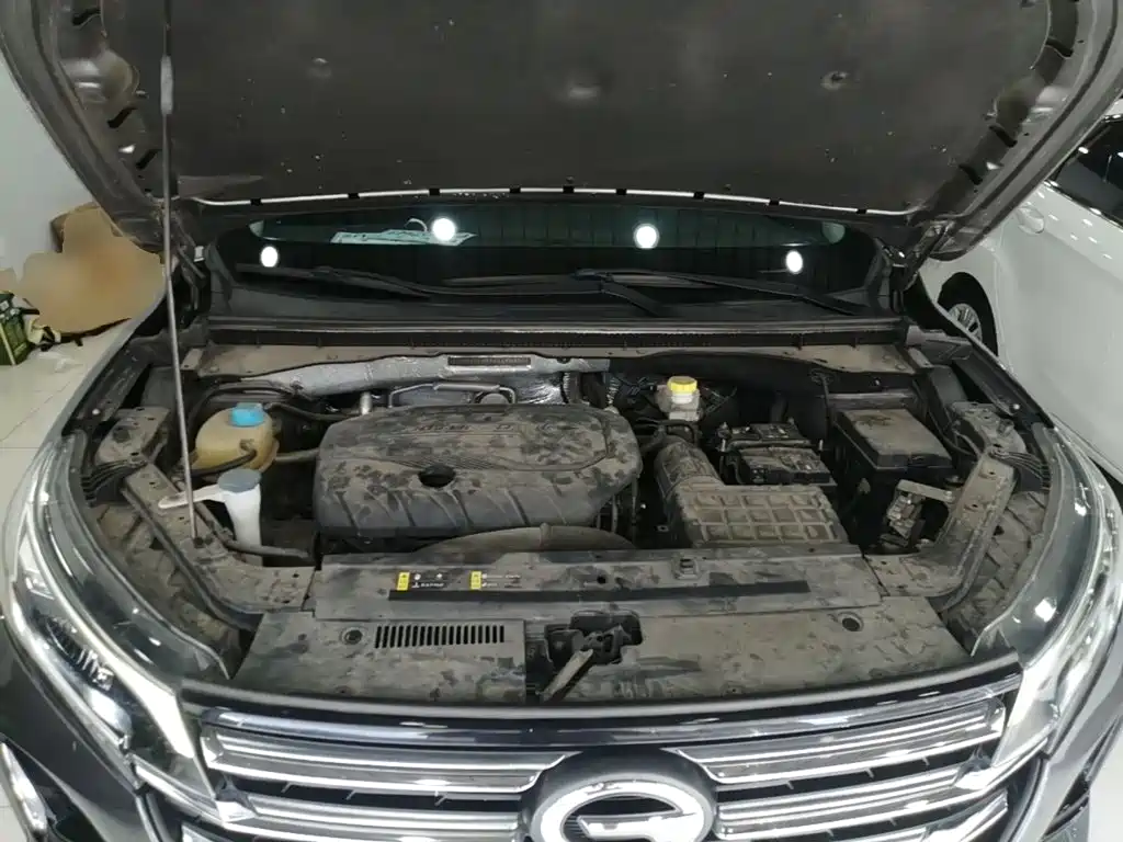 GAC Motor Trumpchi GS4 — миниатюра 20