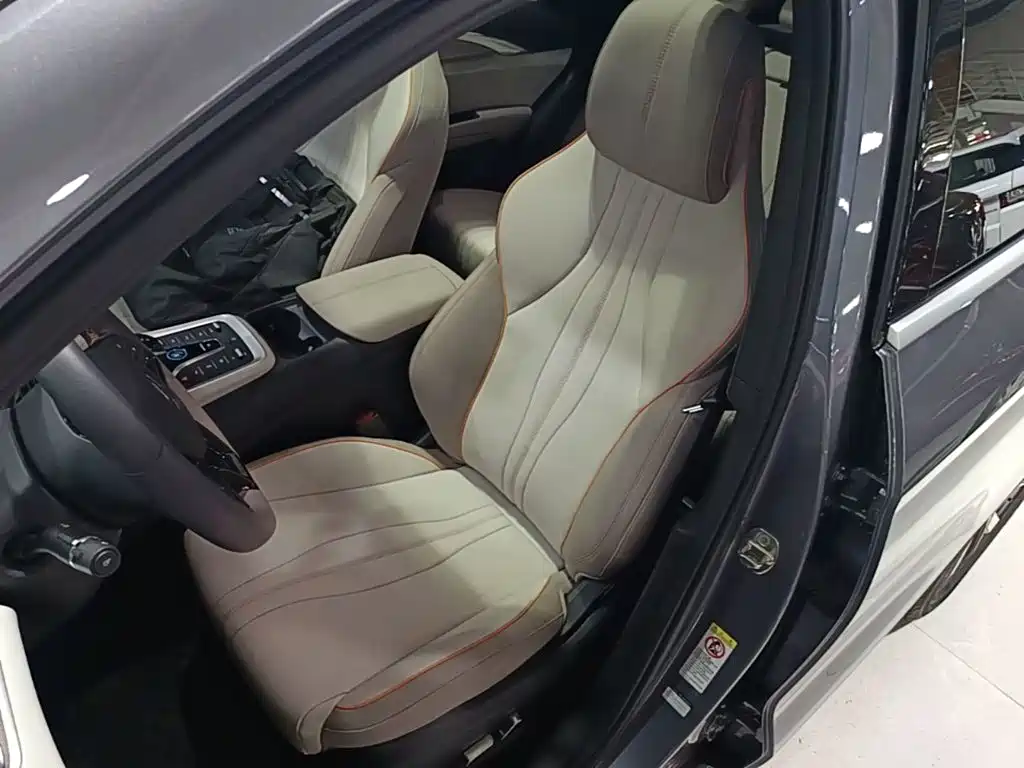 BYD Pro New Energy — миниатюра 15
