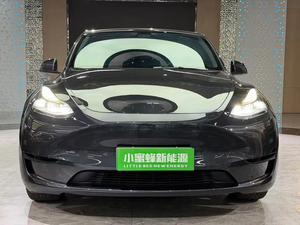 Tesla Model Y — миниатюра 2