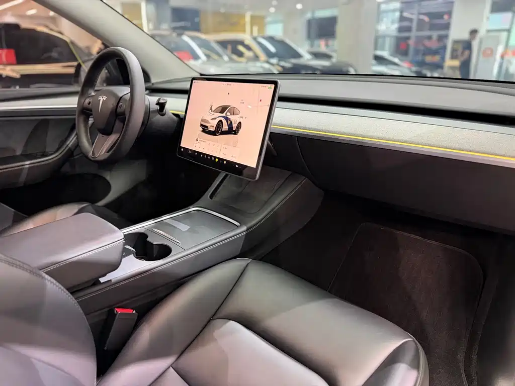Tesla Model Y — миниатюра 10