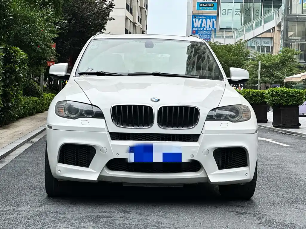 BMW X5 M 2010 X5 M
