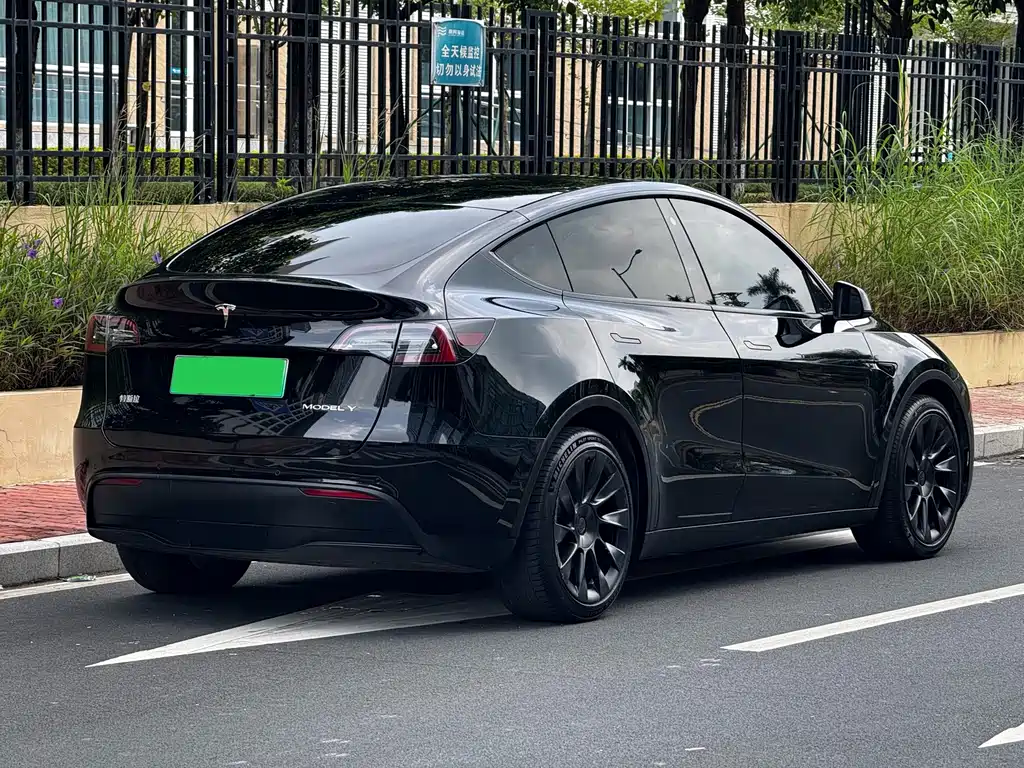 Tesla Model Y — миниатюра 17