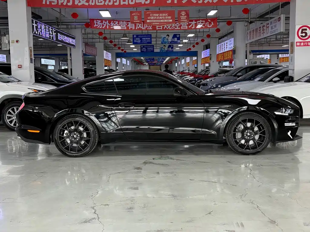 Ford Mustang — миниатюра 4