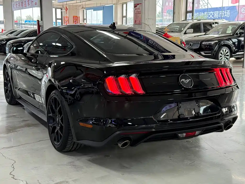 Ford Mustang — миниатюра 6