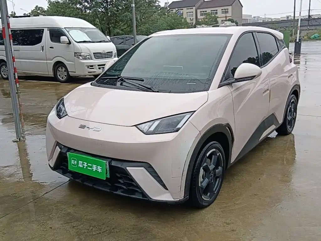 BYD Seagull