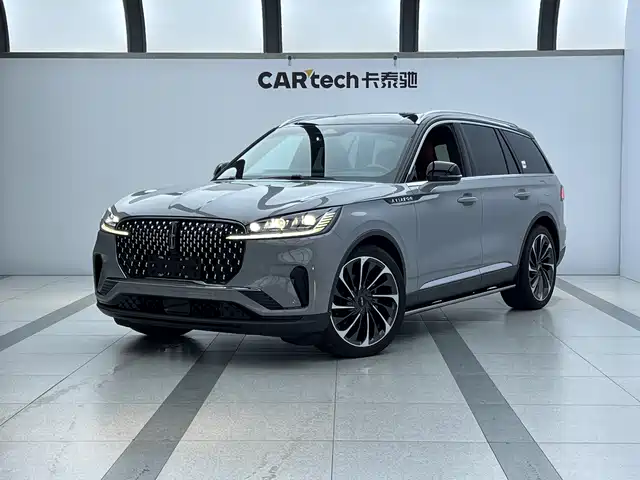 LINCOLN FLYING HOME 2024