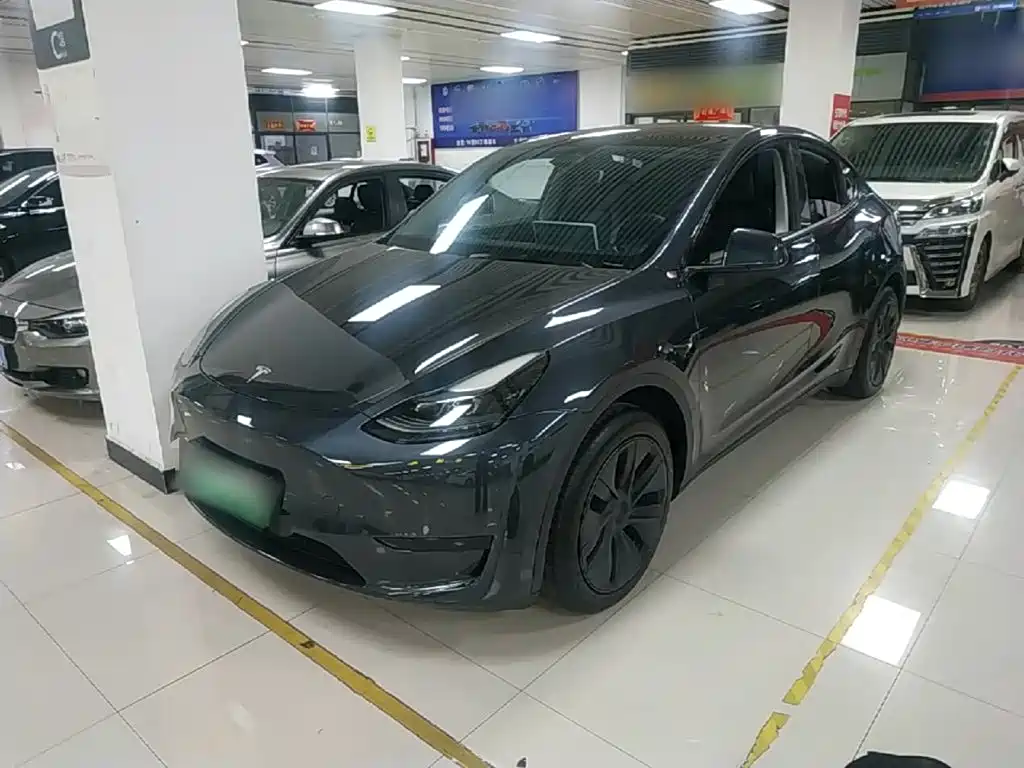 Tesla Model Y — миниатюра 2