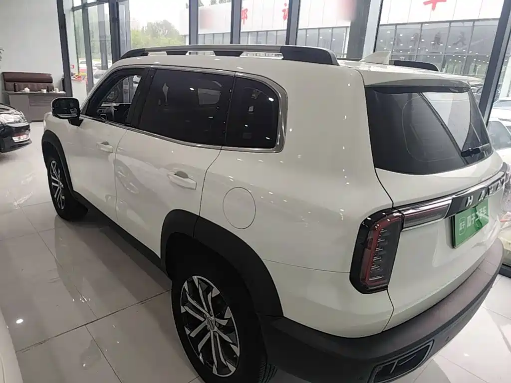 Haval Big Dog — миниатюра 5