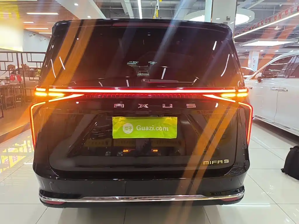 MAXUS Dajia 9 — миниатюра 6